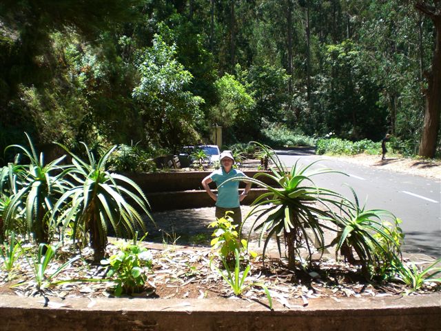Madeira0728.JPG