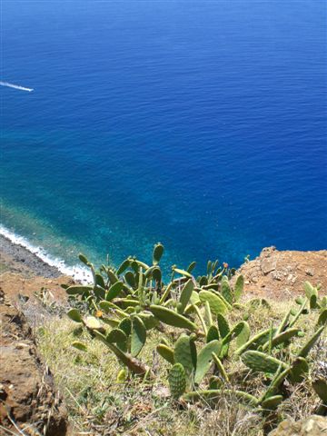 Madeira0760.JPG