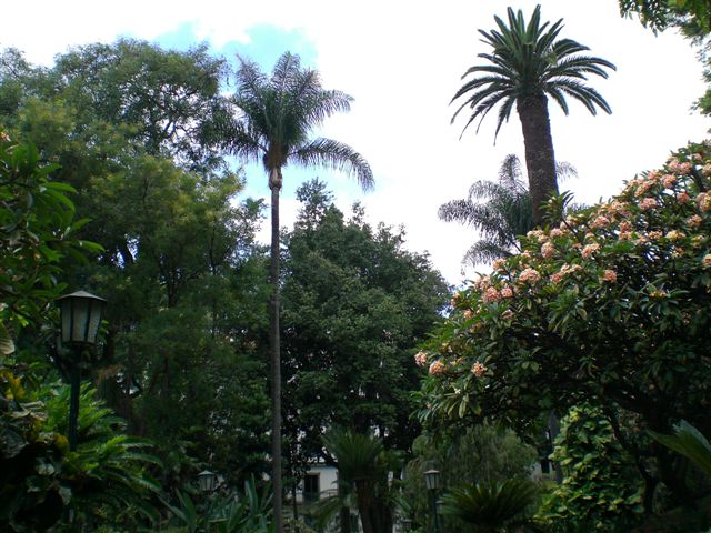 Madeira0777.JPG