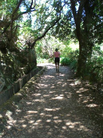 Madeira0789.JPG