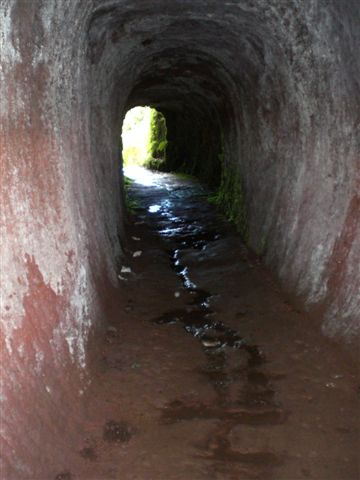 Madeira0805.JPG