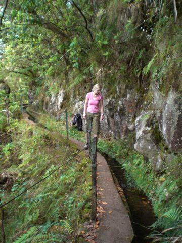Madeira0809.JPG