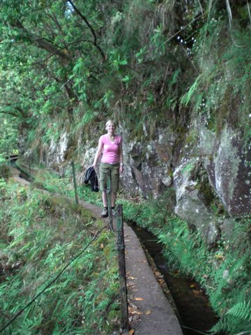 Madeira0810.JPG