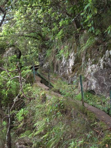Madeira0812.JPG