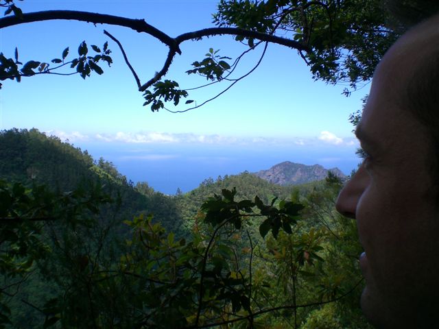 Madeira0813.JPG
