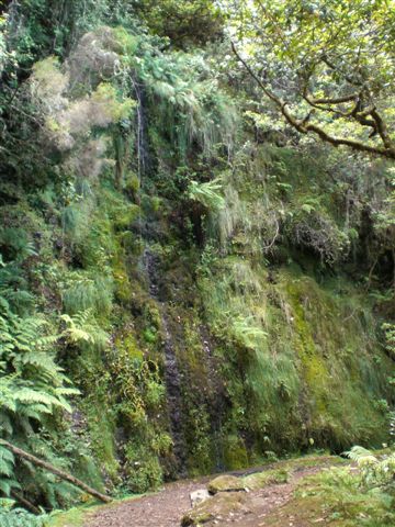 Madeira0819.JPG