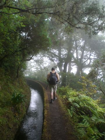 Madeira0847.JPG