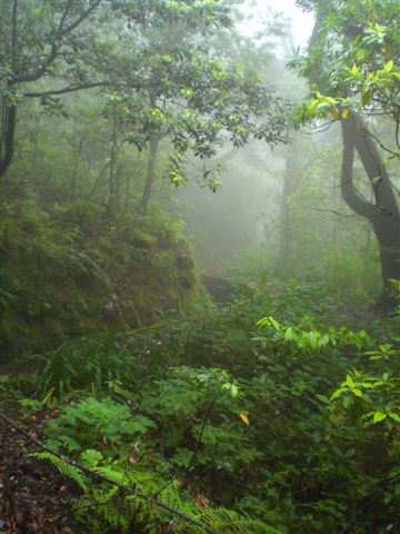 Madeira0854.JPG
