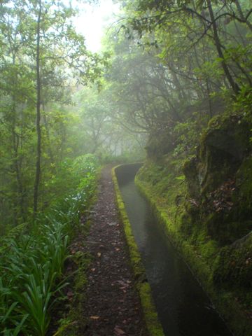 Madeira0856.JPG