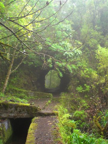 Madeira0858.JPG