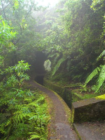 Madeira0859.JPG