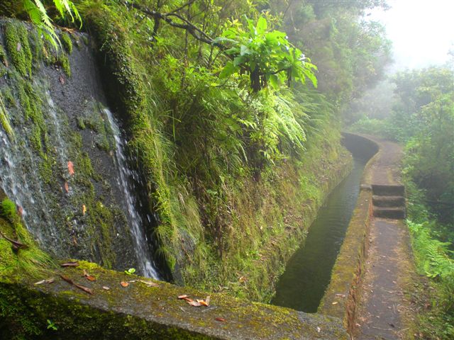 Madeira0863.JPG