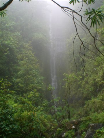 Madeira0868.JPG