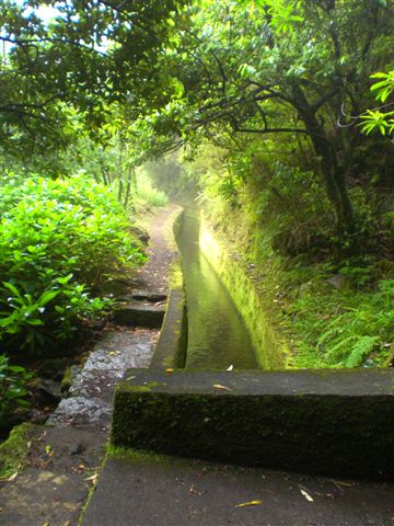 Madeira0872.JPG