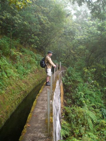 Madeira0873.JPG