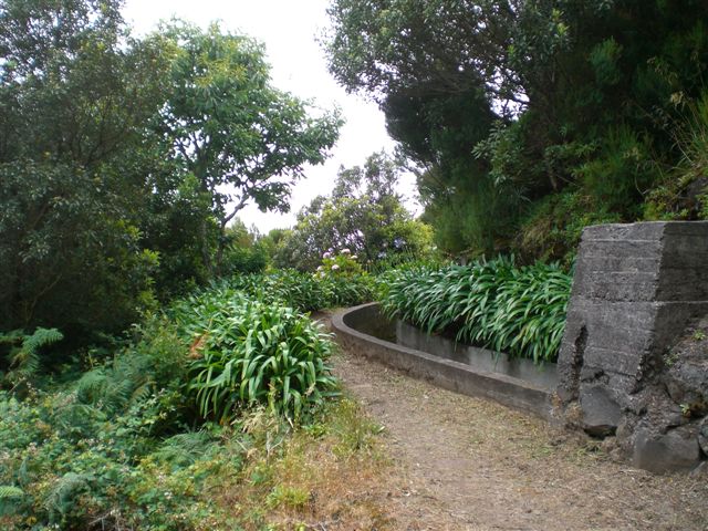 Madeira0878.JPG