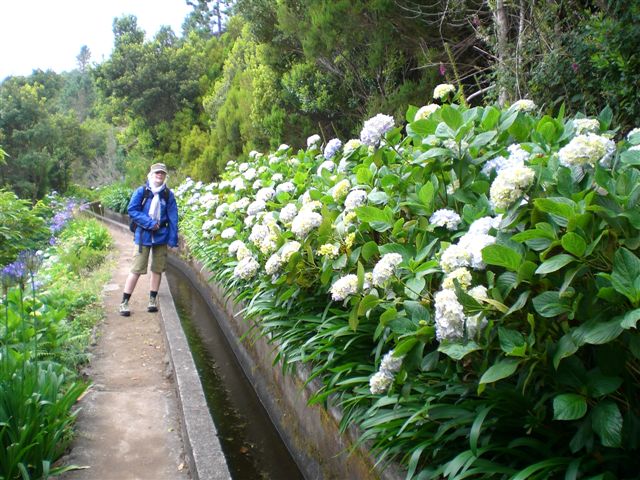 Madeira0879.JPG