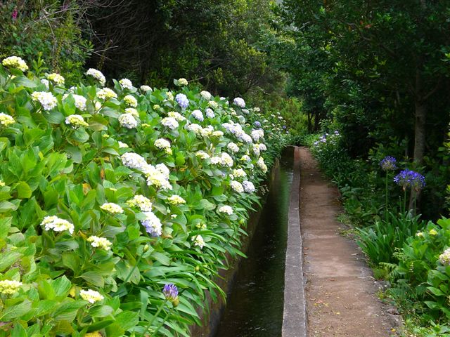 Madeira0883.JPG