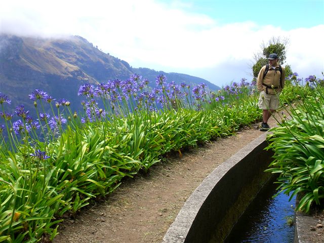 Madeira0889.JPG