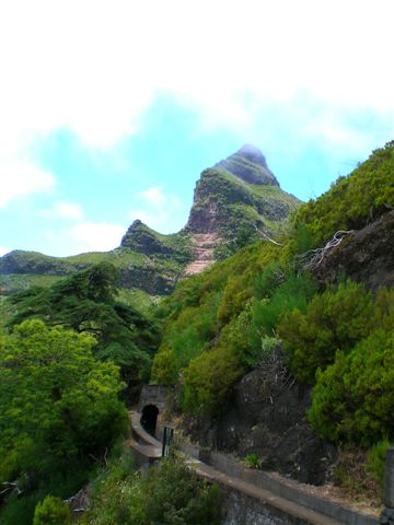 Madeira0895.JPG