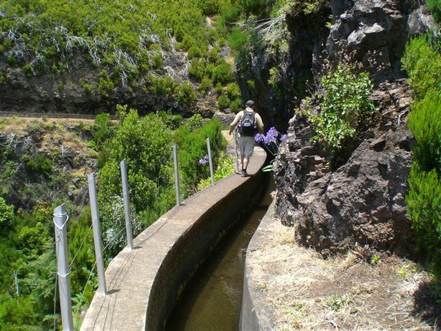 Madeira0897.JPG