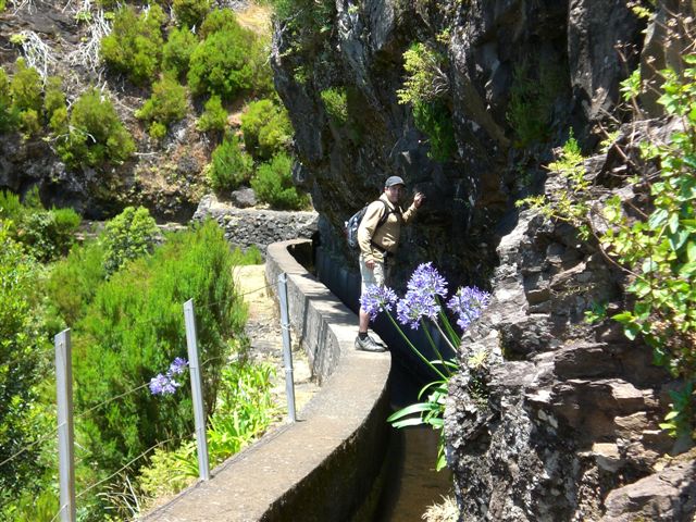 Madeira0898.JPG