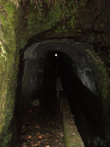 Madeira0908.JPG