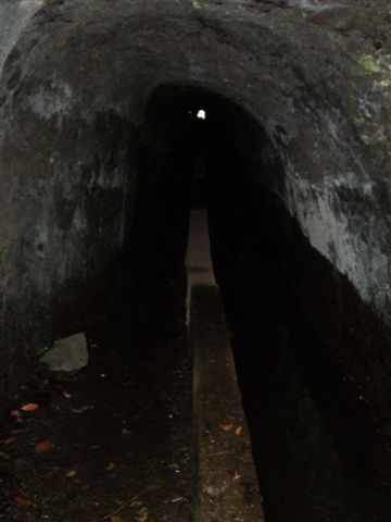 Madeira0909.JPG