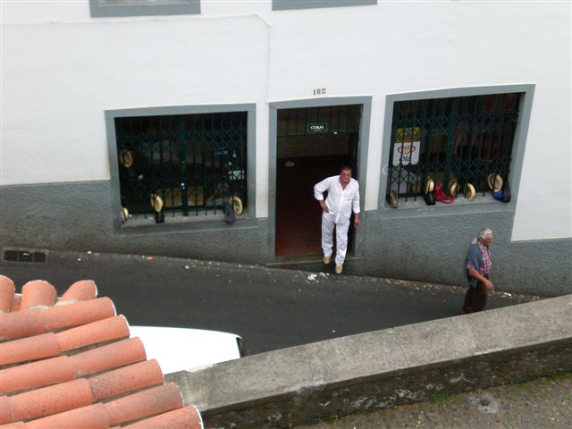 Madeira149.JPG