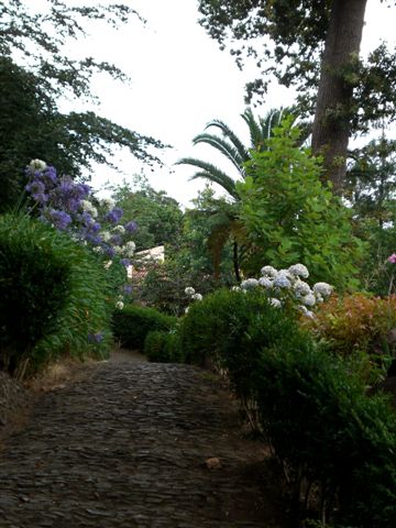 Madeira150.JPG