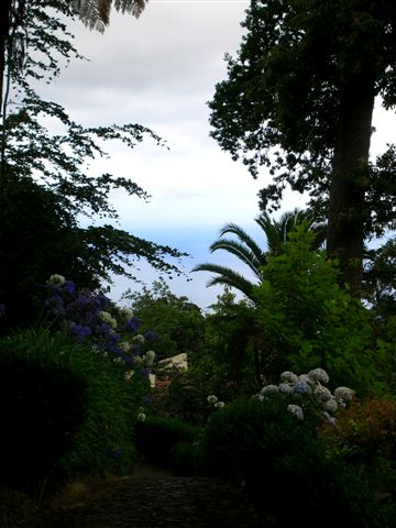 Madeira151.JPG