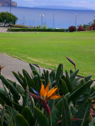 Madeira199.JPG