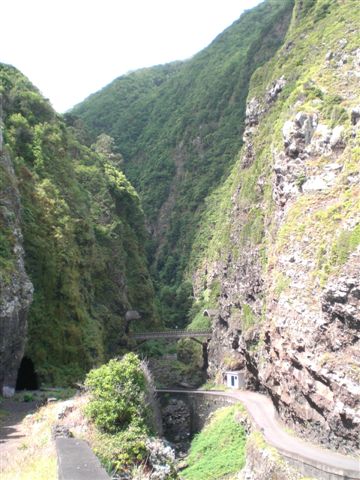 Madeira223.JPG